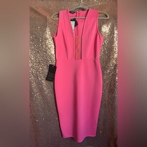 Hot pink Bebe Illusion Mesh Scuba Dress